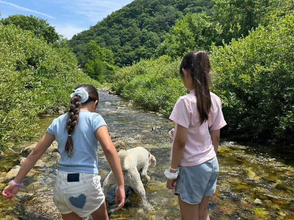 카페도즈오프 사진 4