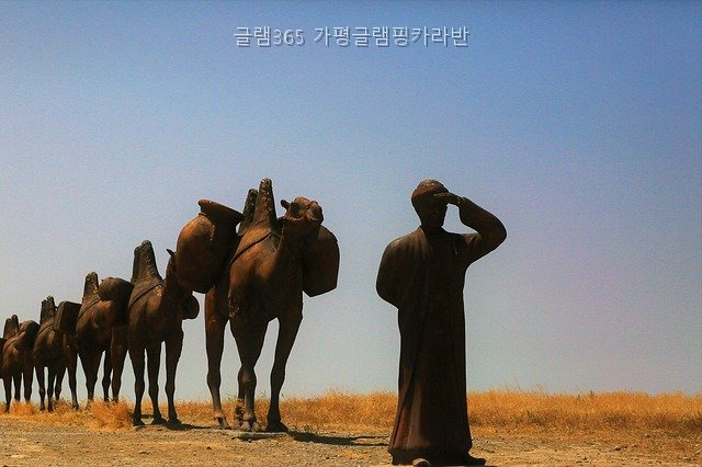 글램365 사진 3