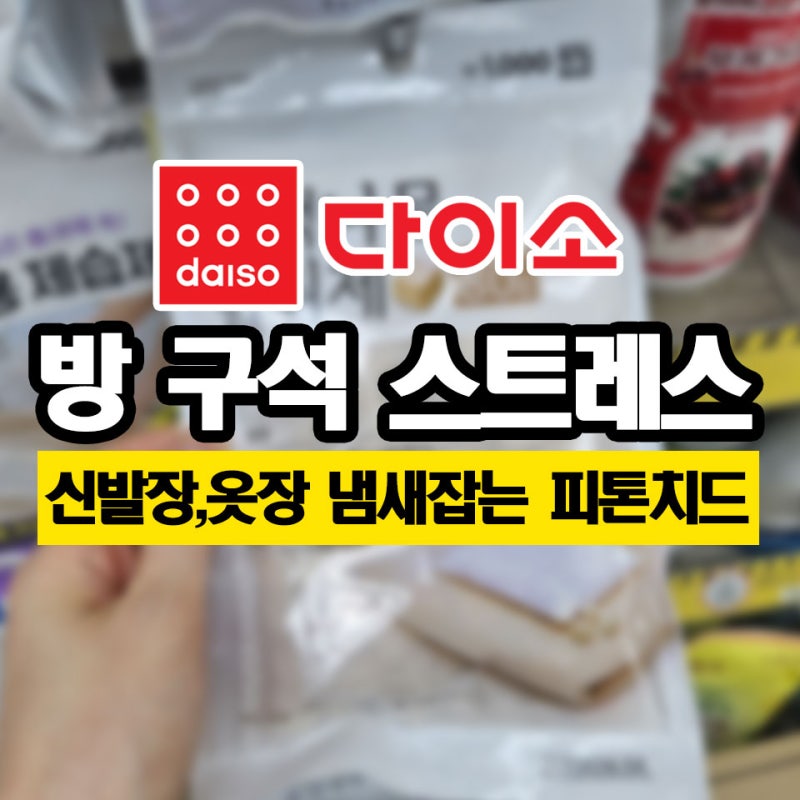 천 원으로 눅눅한 화장실 습기까지 잡는, 다이소 편백나무큐브 볼 탈취제