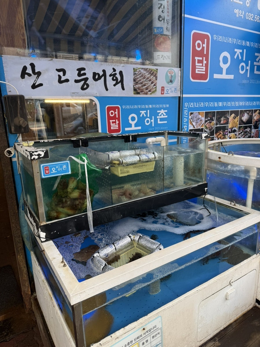 어달오징어촌 검단본점 사진 2