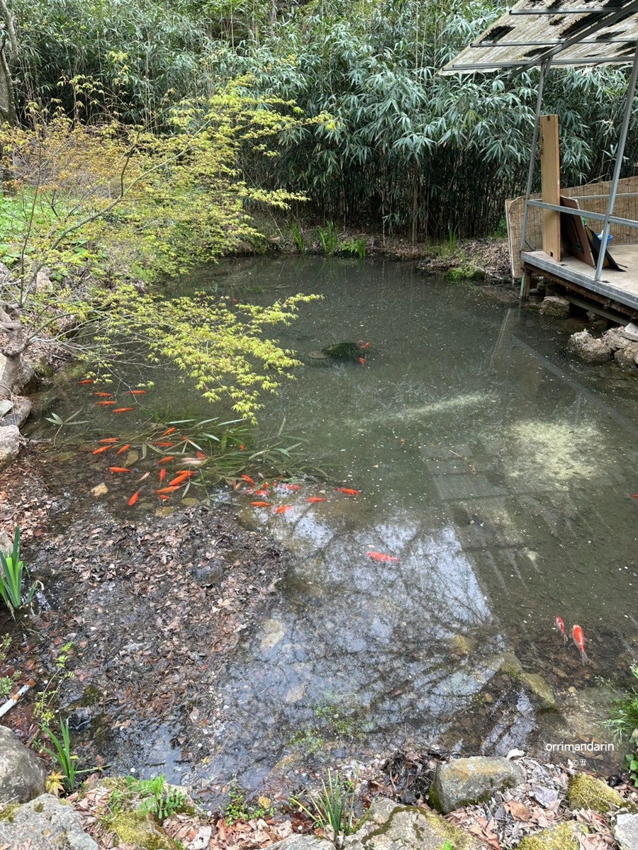 용진산장 사진 4