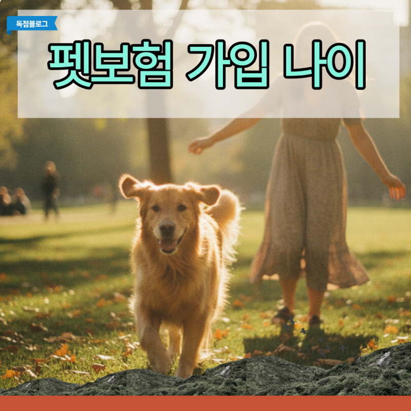 펫보험 가입 나이 제한 스펙트럼 노령견 진입 직전 극적으로 승인