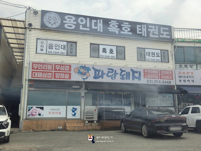 파랑돼지 사진 2
