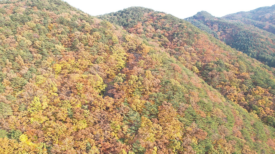 칠성산 사진 1