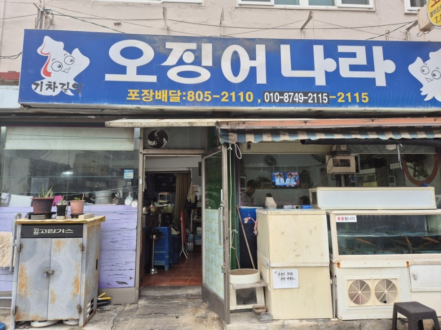 오징어나라 사진 1