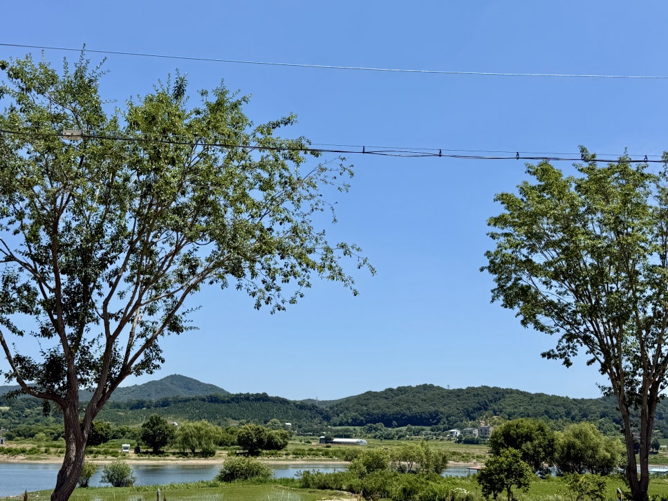 진갈비 사진 3