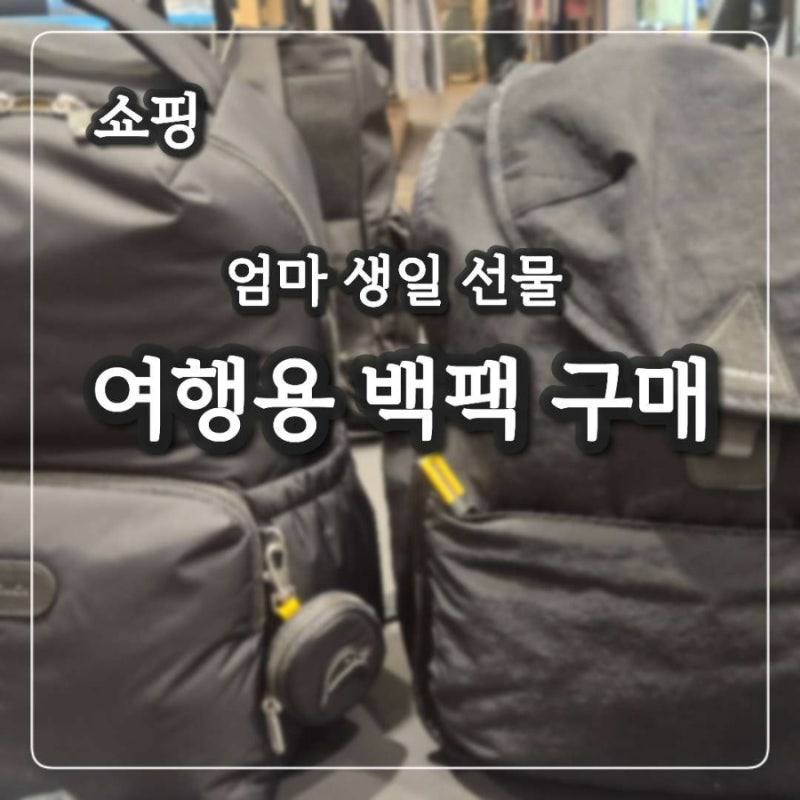 엄마 여행용 일상용 백팩 선물 여성용 백팩 선택 만다리나덕