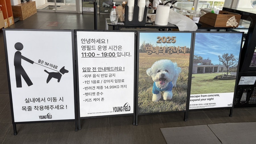 영필드 사진 6