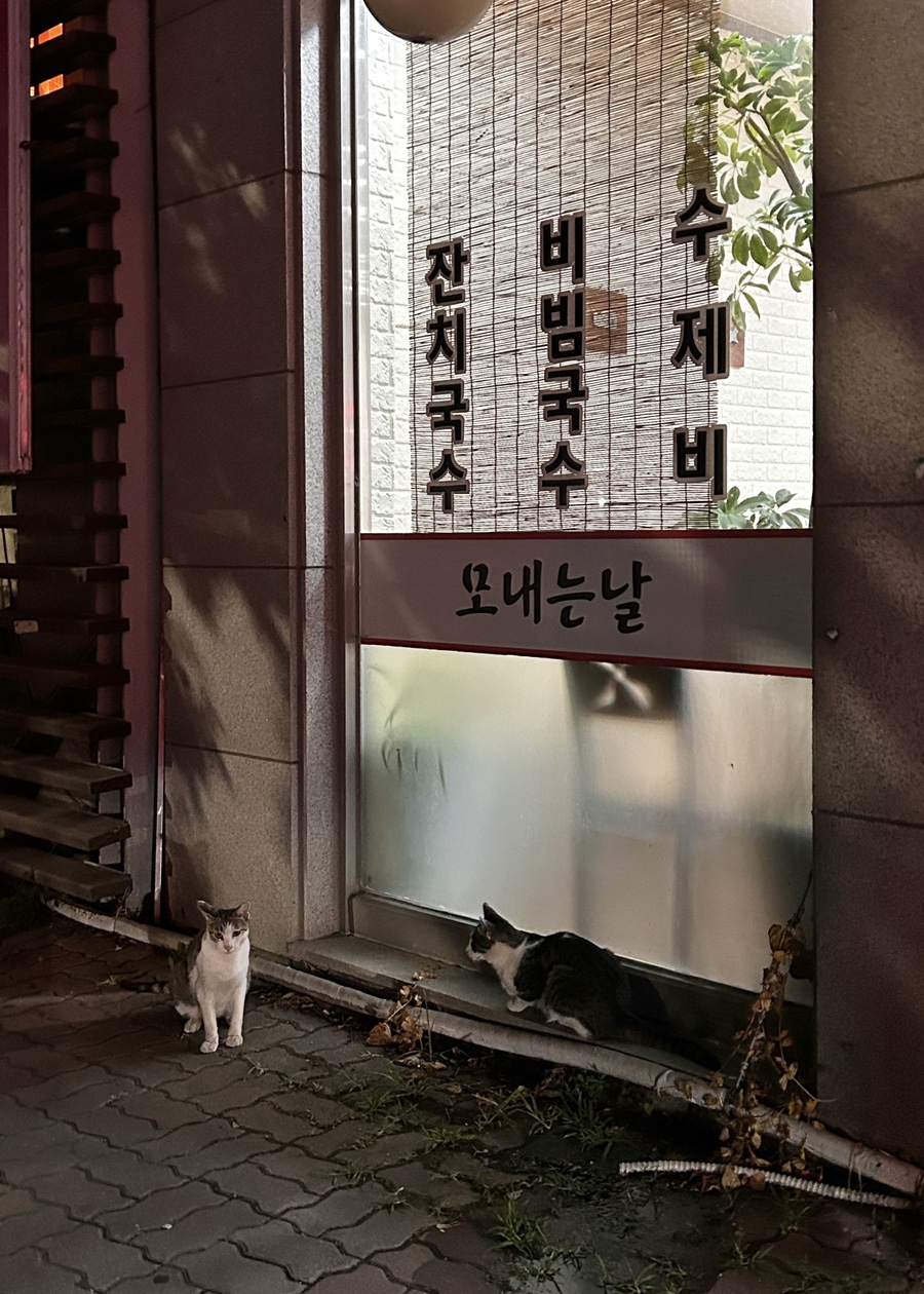 모내는날 국수집 사진 1