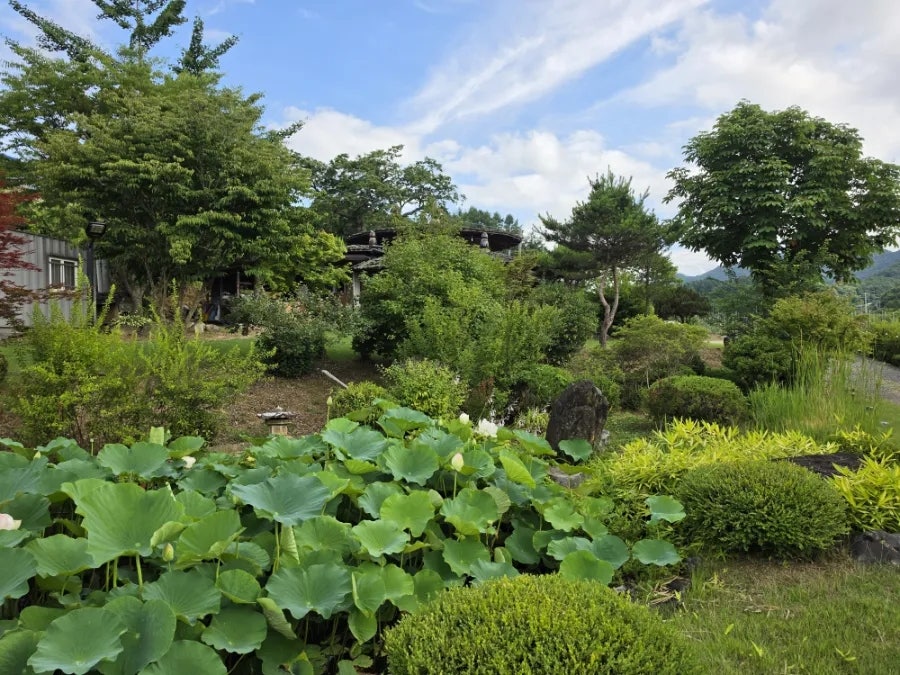 강내음산내음펜션 사진 2