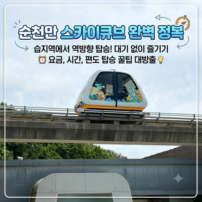 순천만 스카이큐브 꿀팁, 순천만습지에서 국가정원 편도 탑승 솔직후기