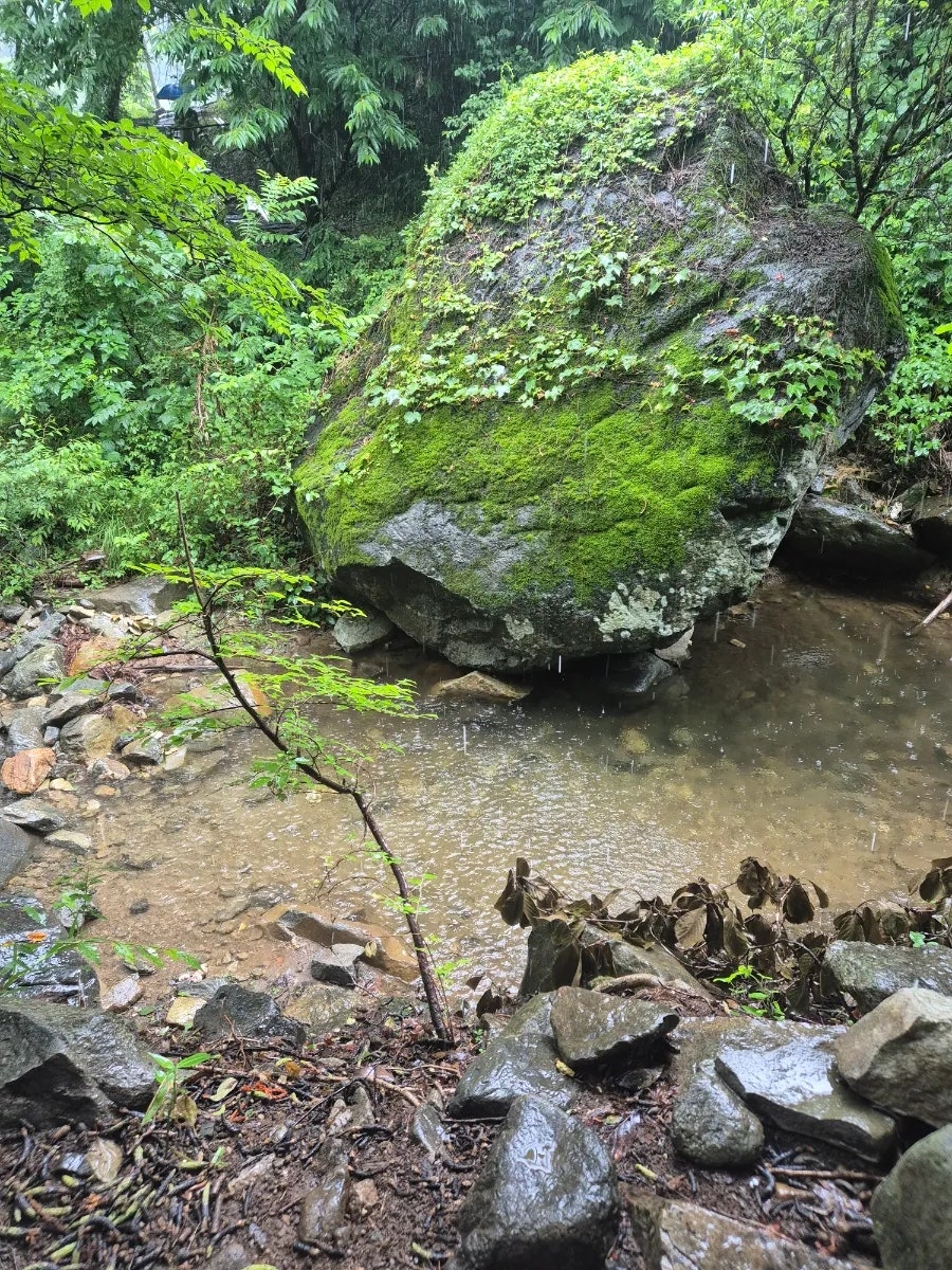 Gangdanggol photo 6