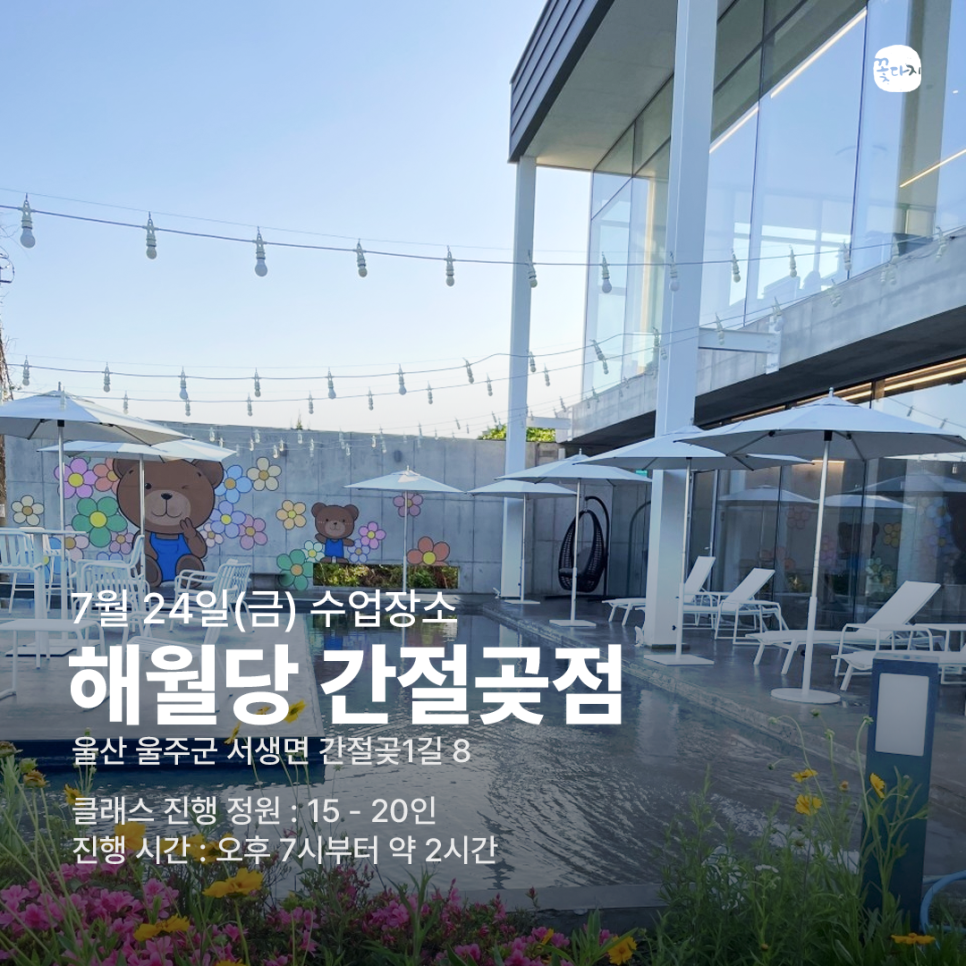 꽃다지 사진 4