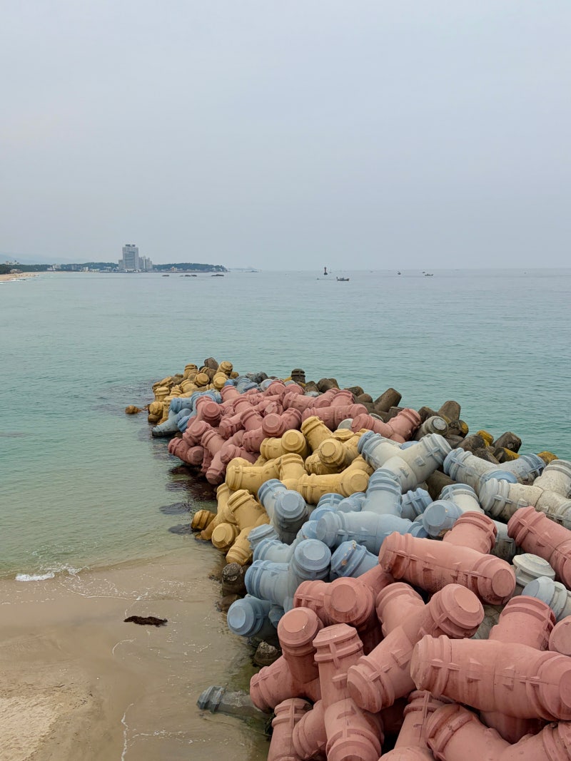 강릉 2박3일 여행 코스 추천 가볼만한곳 맛집 지도 총정리