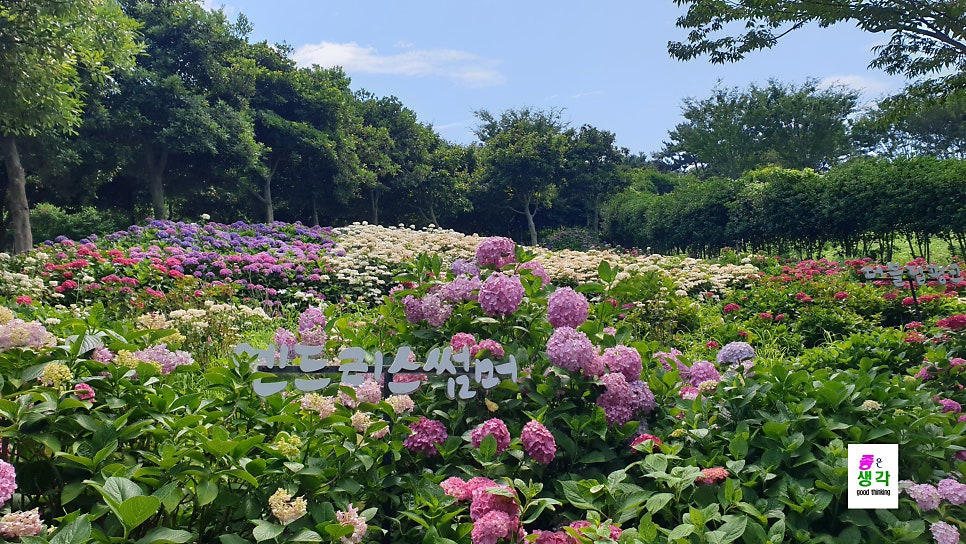 정원 사진 3