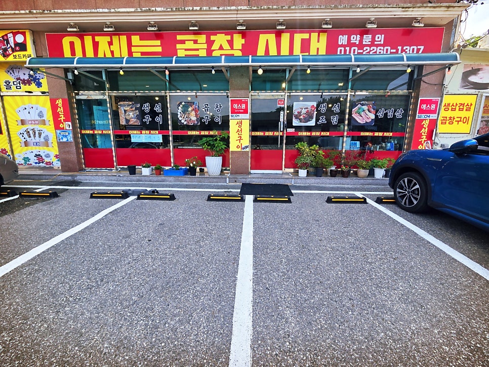 Ijeneungopchangsidae photo 2