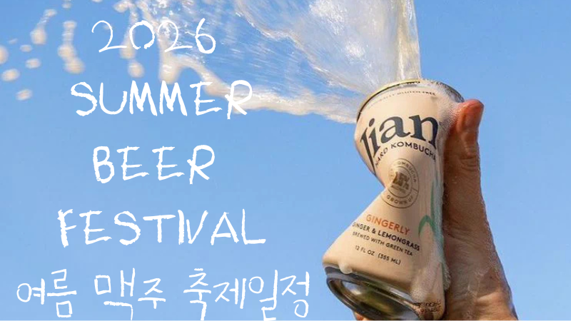 2026 여름 맥주축제 일정 총정리 대구 치맥부터 전주 가맥, 강릉 비치비어까지