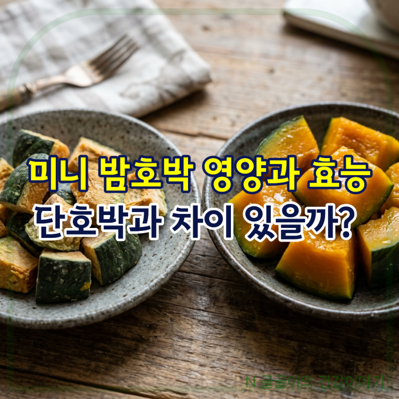 미니 밤호박 영양과 효능 일반 단호박과 차이 있을까
