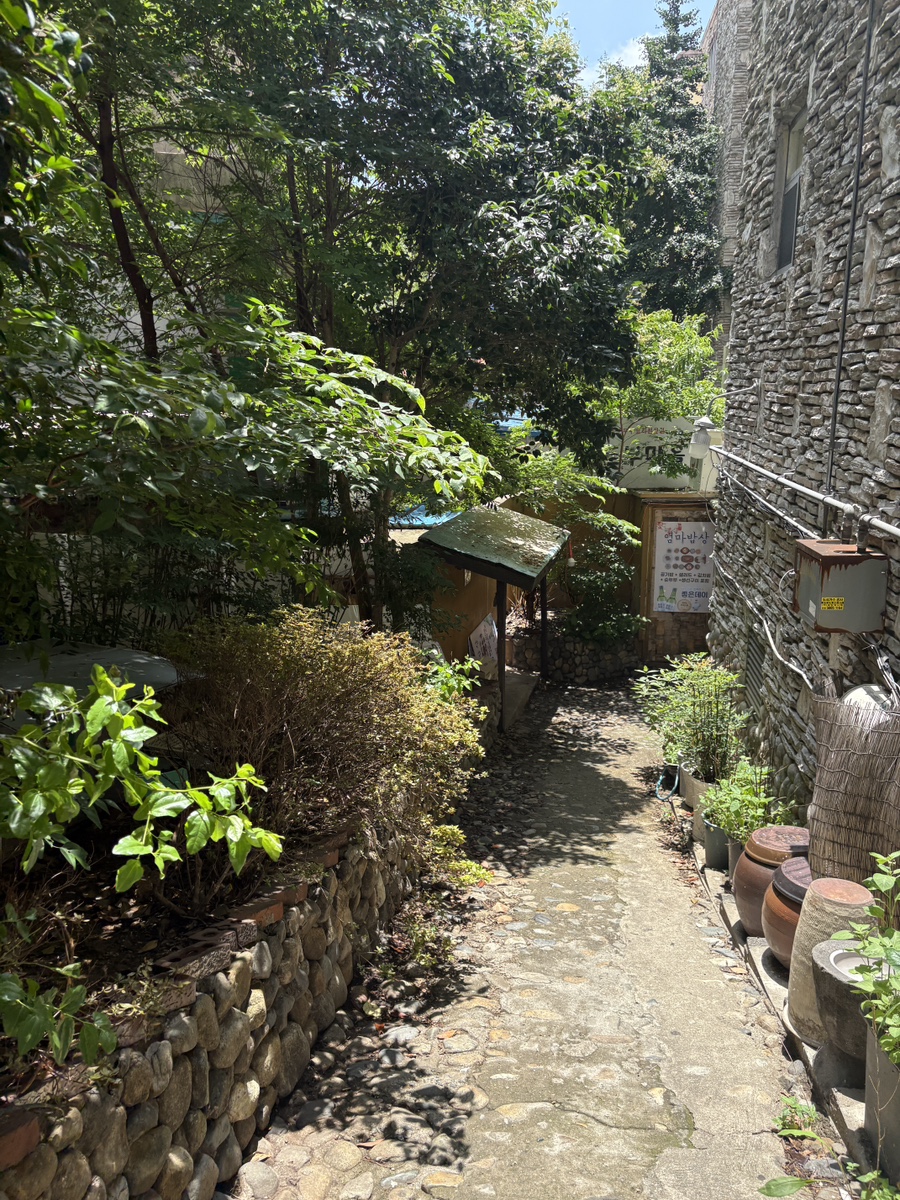 순두부마을 사진 3