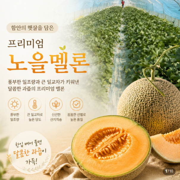 함안 노을멜론 올여름 꼭 먹어봐야 할 제철 프리미엄 멜론✅