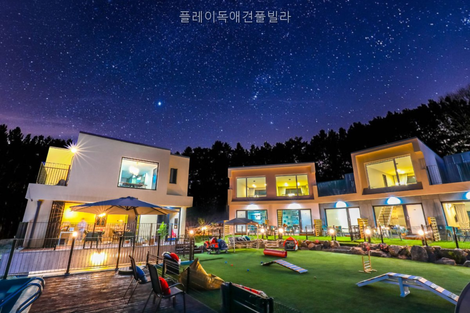 플레이독애견풀빌라 사진 3