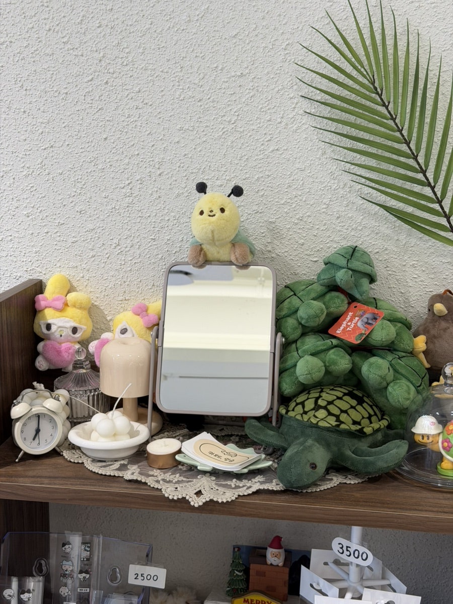 엉금 사진 6