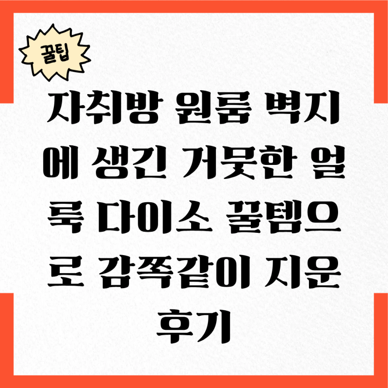 자취방 원룸 벽지에 생긴 거뭇한 얼룩 다이소 꿀템으로 감쪽같이 지운 후기