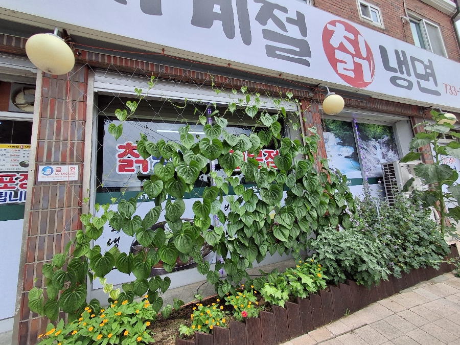 사계절칡냉면 옥천점 사진 2
