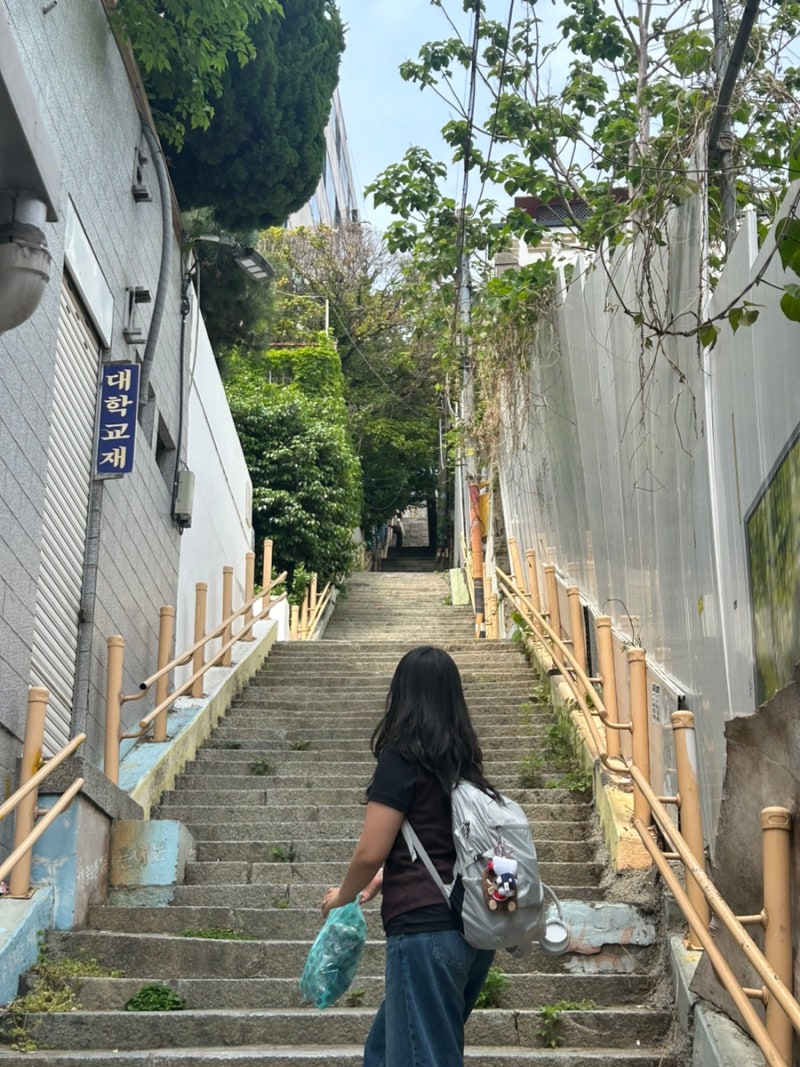 컬럼비아 본레 포레스트 20L 백팩 후기/ 3개월 사용 경량 백팩 추천