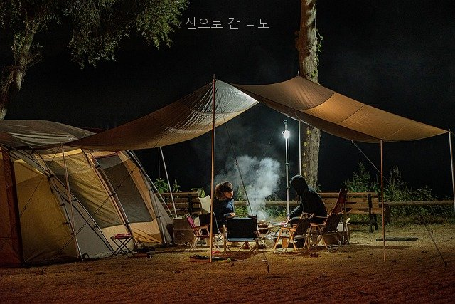 산으로간니모 사진 2
