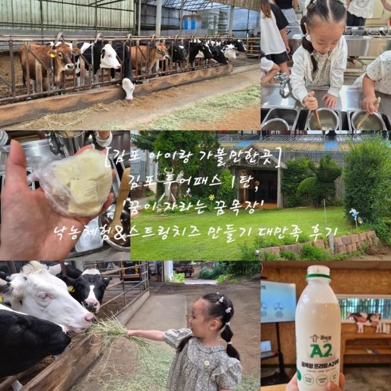 [김포 아이랑 가볼만한곳] 김포 투어패스 1탄, '꿈이 자라는 꿈목장' 낙농체험&스트링치즈 만....