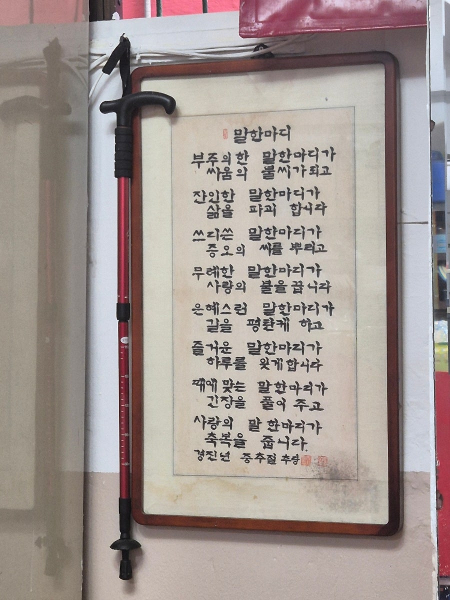 오징어나라 사진 5
