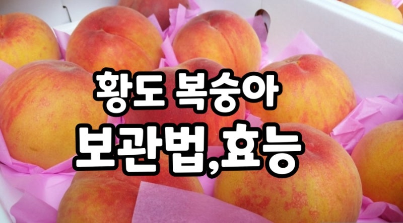 황도 복숭아 보관법 이렇게 하세요! 놀라운 효능까지,달콤한 맛을 오래 유지하는 꿀팁