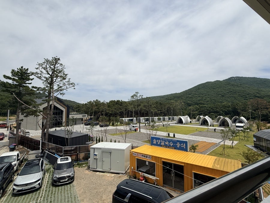 솔양 사진 6
