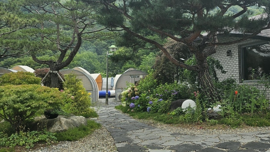 그릴841 사진 2