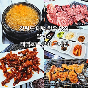 강원도 태백 맛집 알리소 태백호텔 근처 가성비 한우 고기집