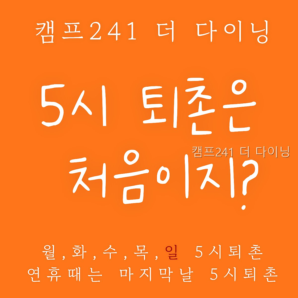 읍내리75-1캠핑장 사진 3