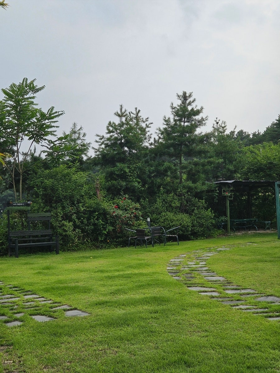들꽃 사진 5