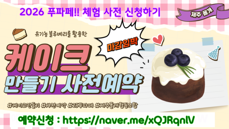 2026 푸파페제주 체험 모집｜제주 폴개 블루베리 케이크 만들기