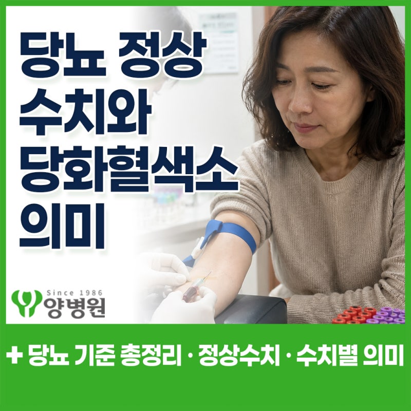 당뇨 당화혈색소 정상수치 얼마일까요? 5.8 · 6.5 · 7 · 8 · 9 수치별 의미와 당뇨 기준 총정리 ....