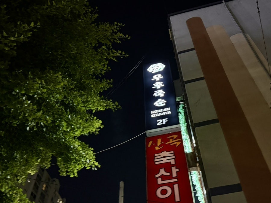 우후죽순 사진 2