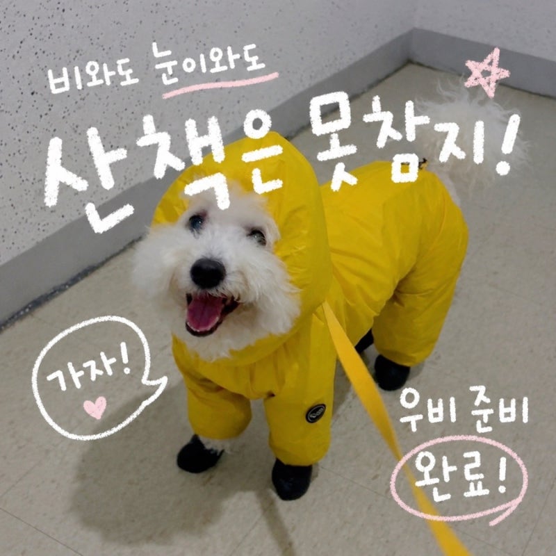 비오는날 강아지 산책 꼭 나가야 된다면? 강아지 우비 비옷 고르는 법