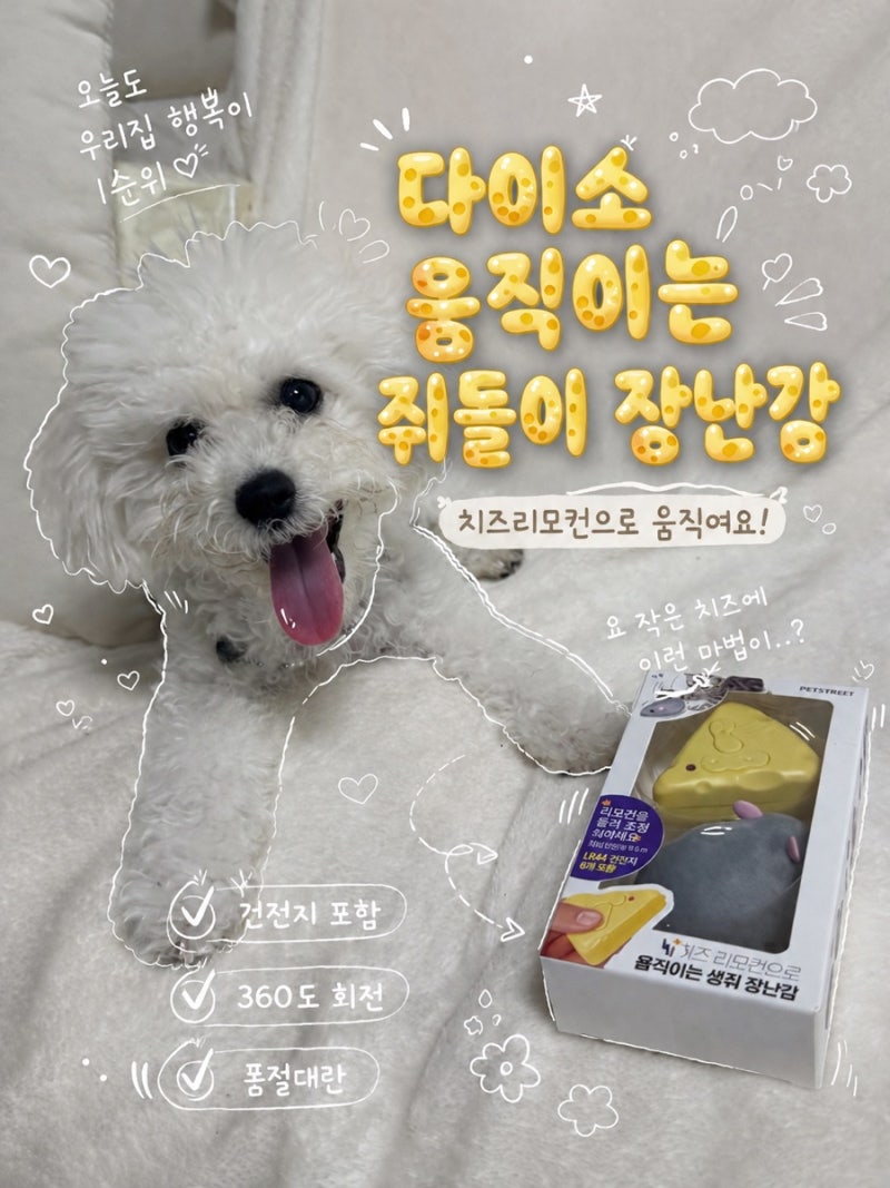 다이소 강아지 용품추천 ㅣ움직이는 쥐돌이 장난감 ㅣ고양이 강아지 장난감 리뷰