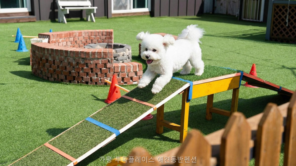 투독플레이스애견동반펜션 사진 5