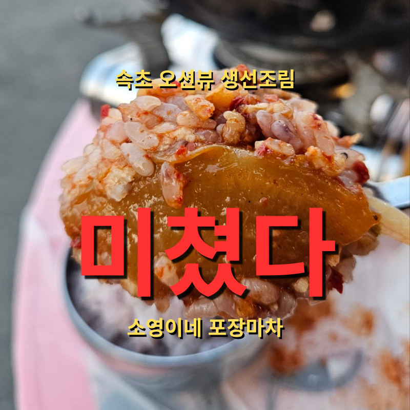 속초 영랑동 포차거리 맛집 | 소영이네 포장마차 생선모듬조림 오션뷰
