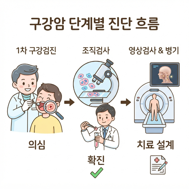 구강암 검사 방법 총정리｜구강검진·조직검사·영상검사를 통한 단계적 확진 구조