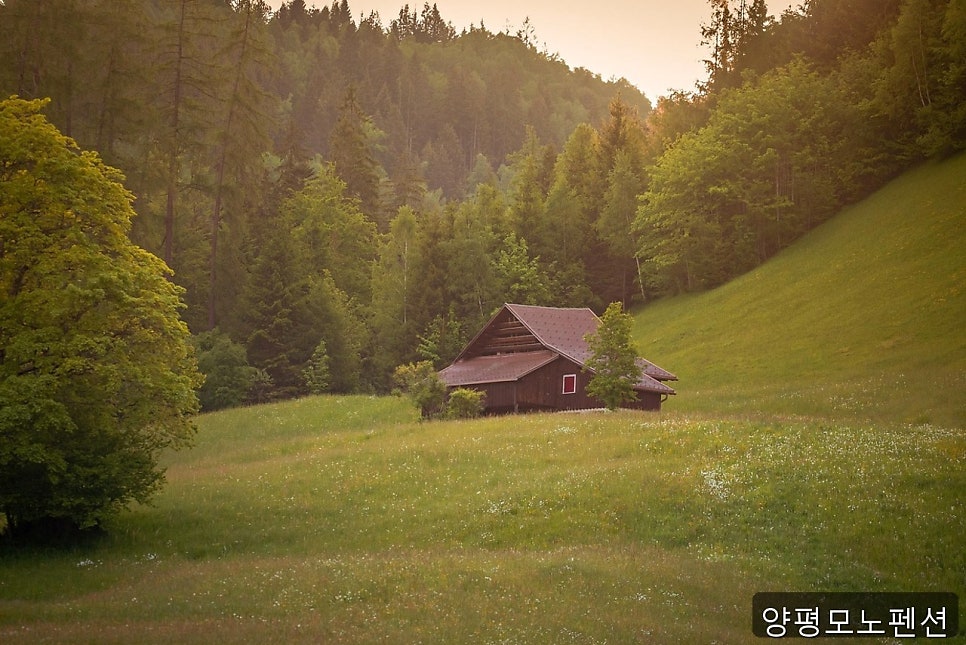 모노펜션 사진 1