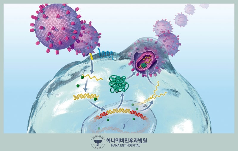 자꾸 재발하는 부비동염 치료, 무엇이 문제?