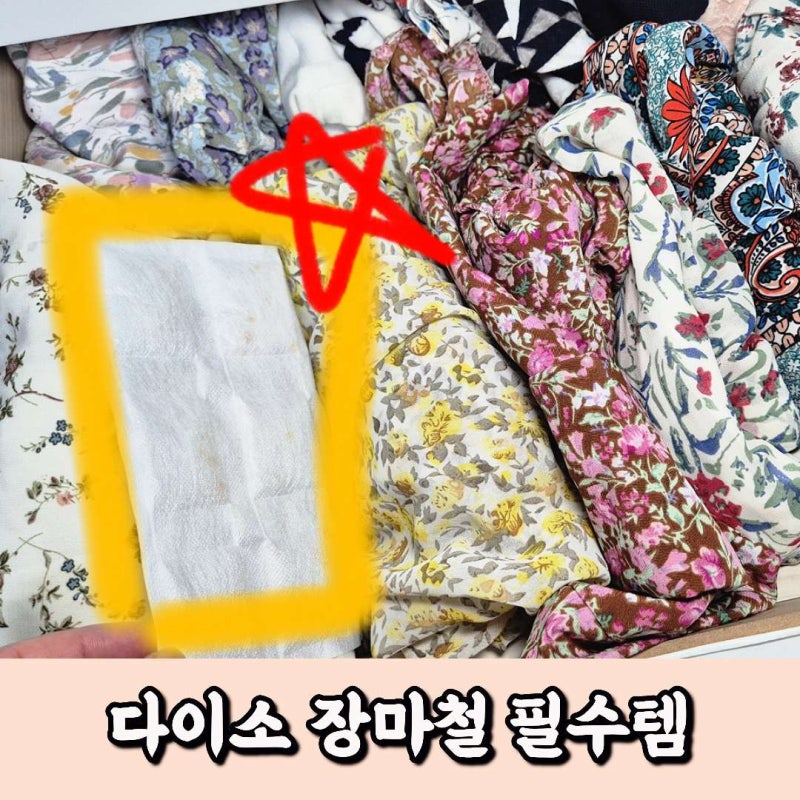 장마철 가성비 필수템 다이소 습기제거제