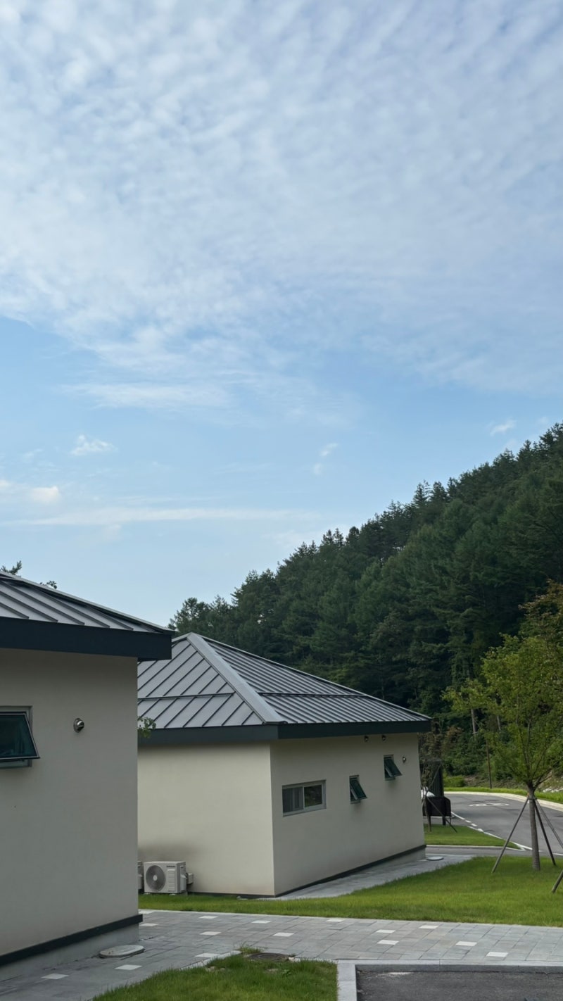 국립금산자연휴양림 204동 정이품송